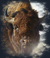 Arellano Investigations takes pride in Colorado's native american history. Arellano Investigations takes pride in Colorado's native american history.